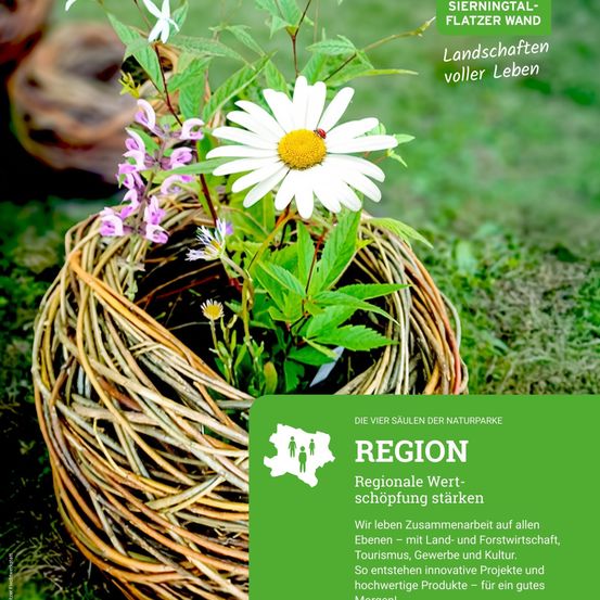 REGION