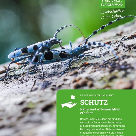 SCHUTZ