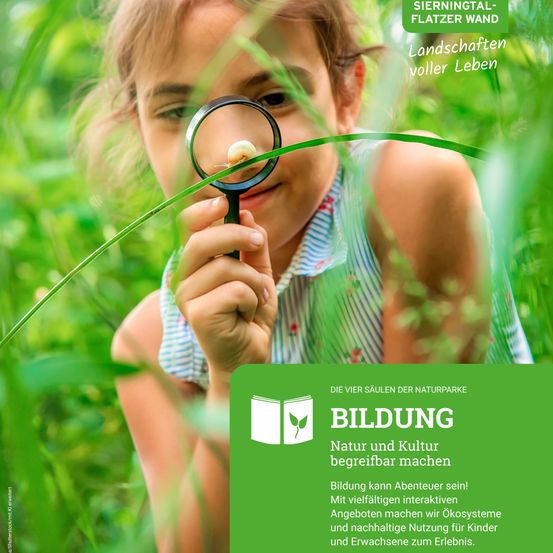 Ein junges Mädchen hält eine Lupe in der Hand und betrachtet eine Raupe. Der Plakattext lautet 'Bildung' und 'Natur und Kultur verständlich machen'. Es hebt Bildungsangebote im Naturpark hervor.