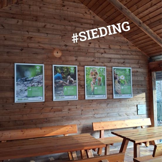 Ein Innenraum eines Holzgebäudes mit einer Wand, an der vier Poster hängen. Das oberste Poster trägt den Text #SIEDIING. Vor der Wand stehen Holzbänke und -tische.