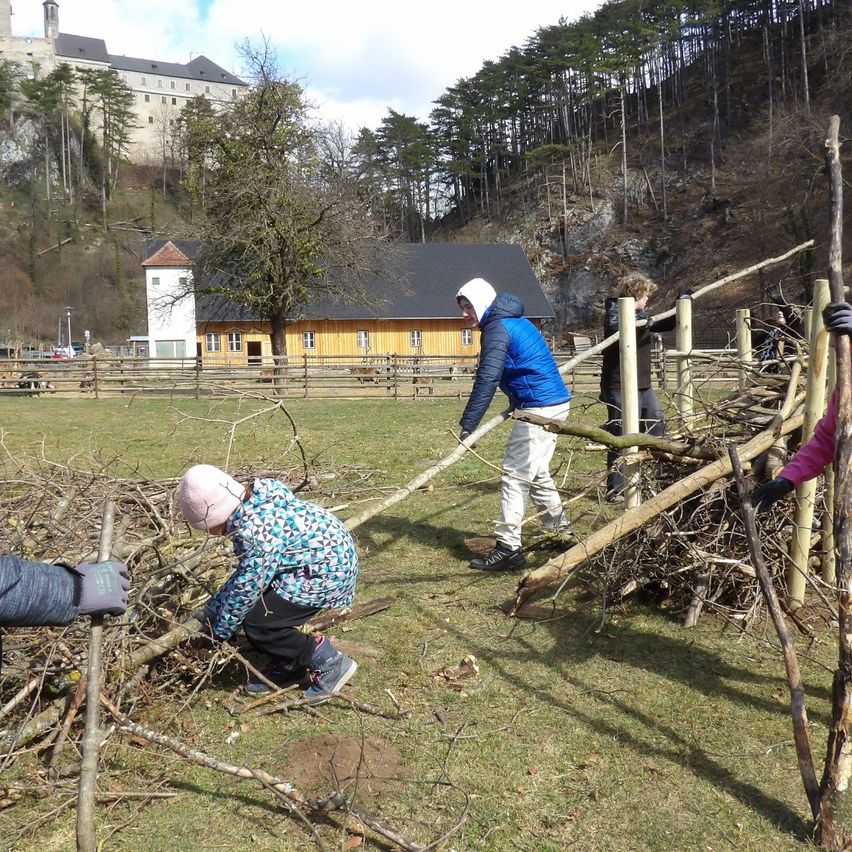 Mehrere Personen sammeln sich um einen Baum und entfernen Äste. Ein Kind beugt sich vor und hält einen Stock, während ein anderes gerade steht und einen Stock in beiden Händen hält. Bäume und ein Gebäude sind im Hintergrund.