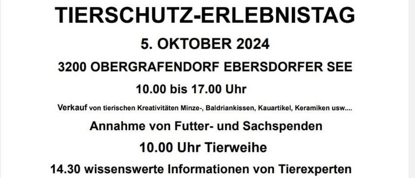 Bild enthält, Advertisement, Poster, Animal, Canine, Dog, Mammal, Pet, Cat, Text