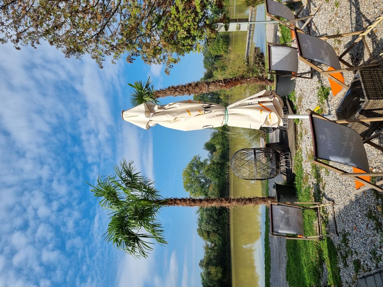 Bild enthält, Summer, Tree, Palm Tree, Nature, Outdoors, Garden, Patio, Resort, Scenery, Grass