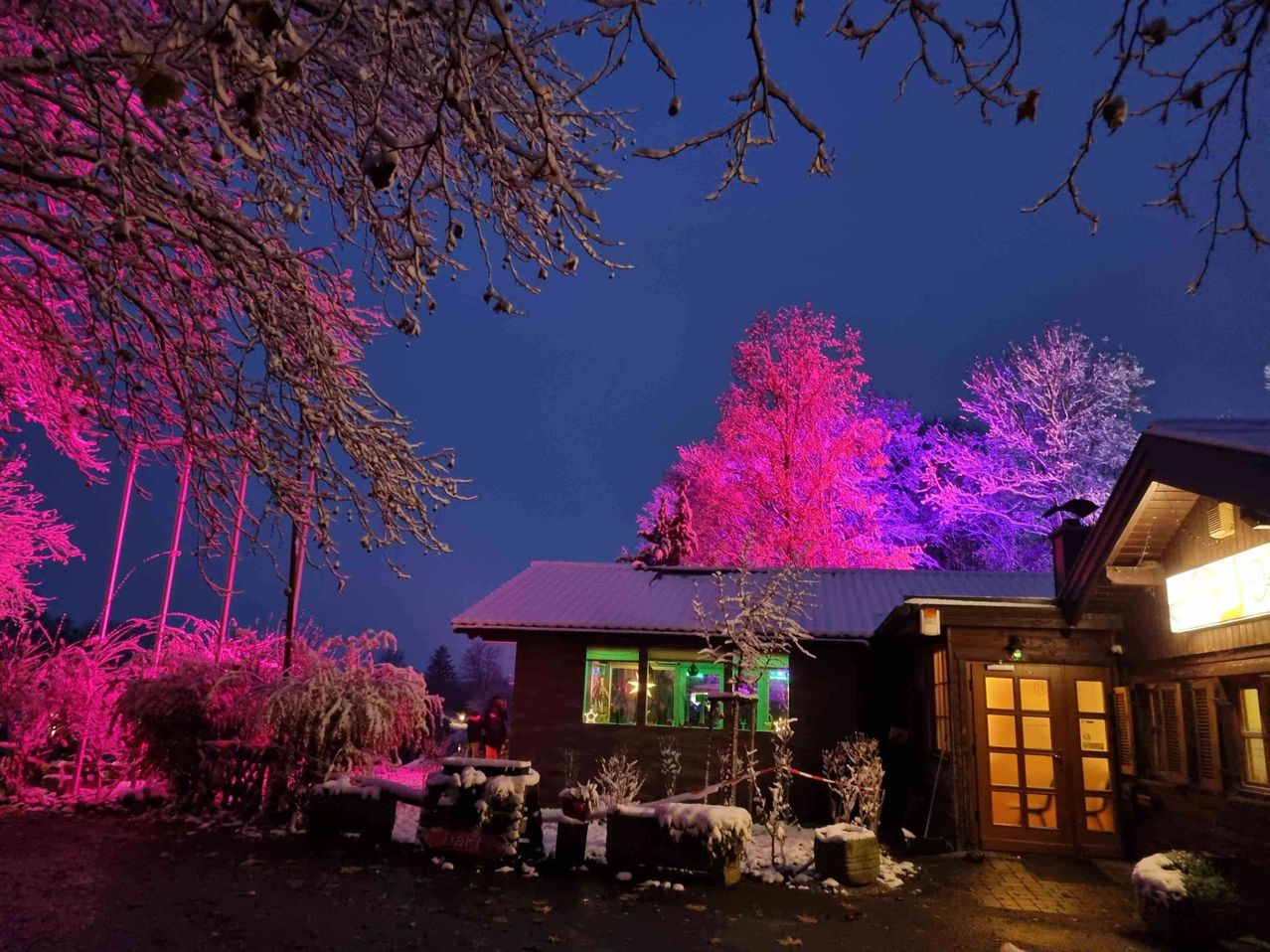 Bild enthält, Outdoors, Shelter, Purple, Lighting, Neighborhood, Nature, Scenery, Flower, Housing, Tree