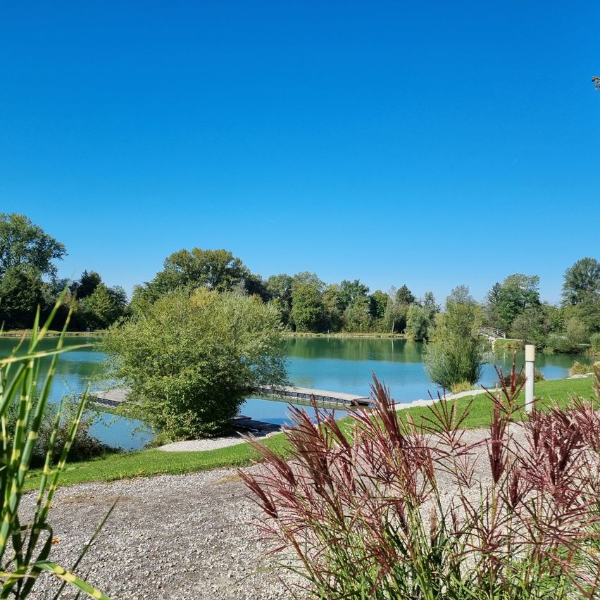 Ein ruhiger See mit einem Steg, umgeben von Grün und Bäumen unter einem klaren blauen Himmel.