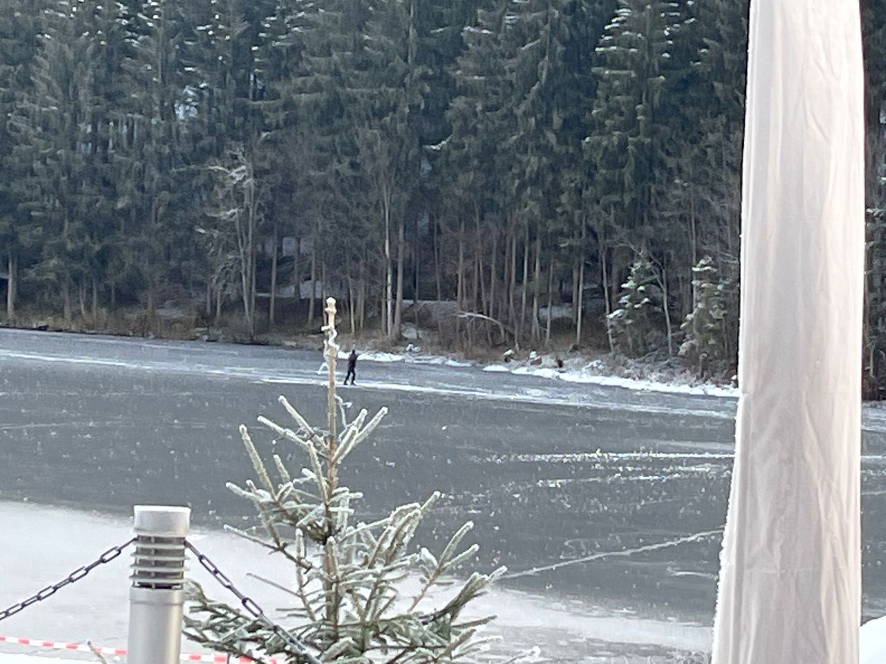 Bild enthält, Tree, Fir, Ice, Vegetation, Grove, Nature, Outdoors, Woodland, Weather, Winter
