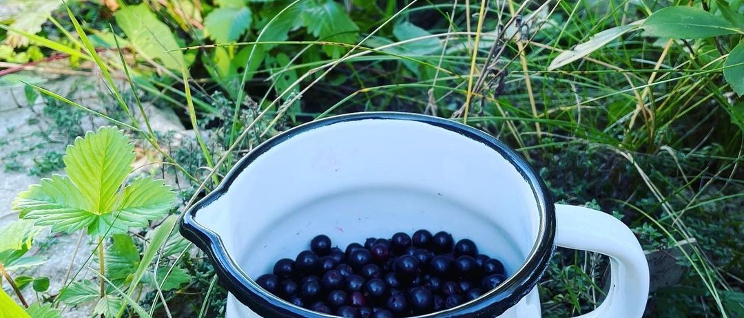 v1_migrated_image_23273502