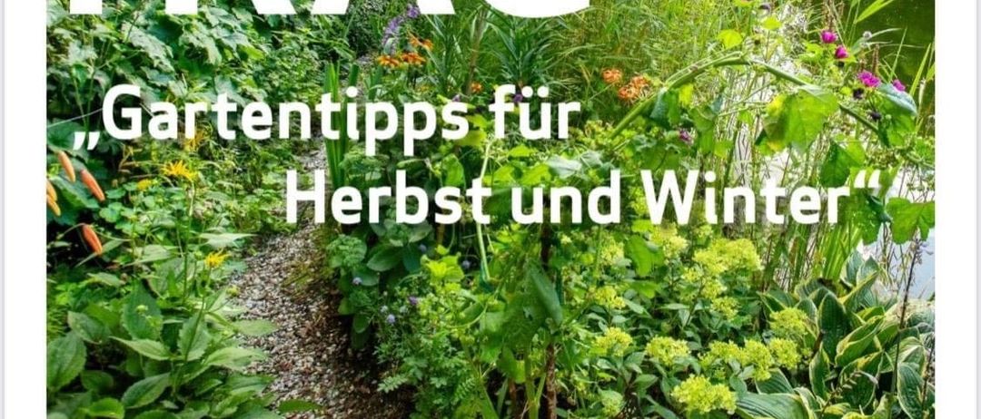 v1_migrated_image_68633575