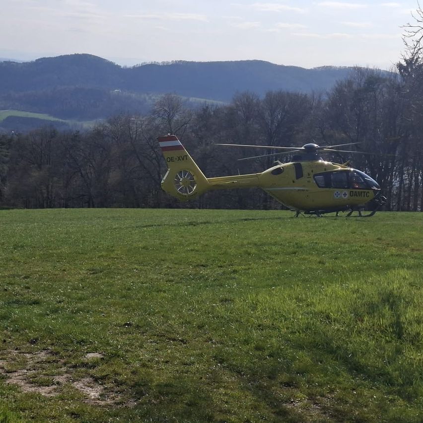 Ein gelber Hubschrauber mit der Registrierung OE-XVI steht auf einer Wiese mit kahlen Bäumen und Bergen im Hintergrund.