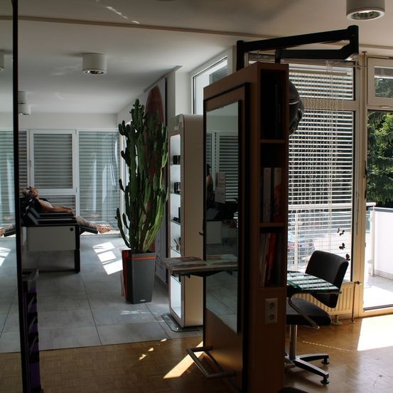 Ein Innensalon mit einer Person, die auf einem Liegestuhl liegt, einem Kaktus, einer Glastür, einem Spiegel und einem Stuhl.