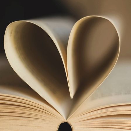 v1_migrated_image_73358622