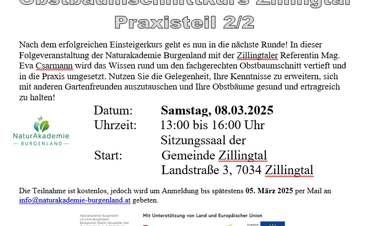 Advertisement, Poster, Page, Text