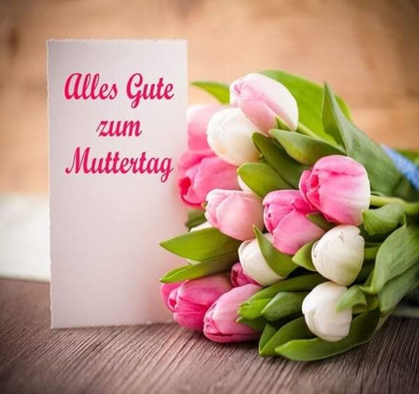 Bild enthält, Envelope, Greeting Card, Mail, Flower, Flower Arrangement, Flower Bouquet, Petal, Tulip