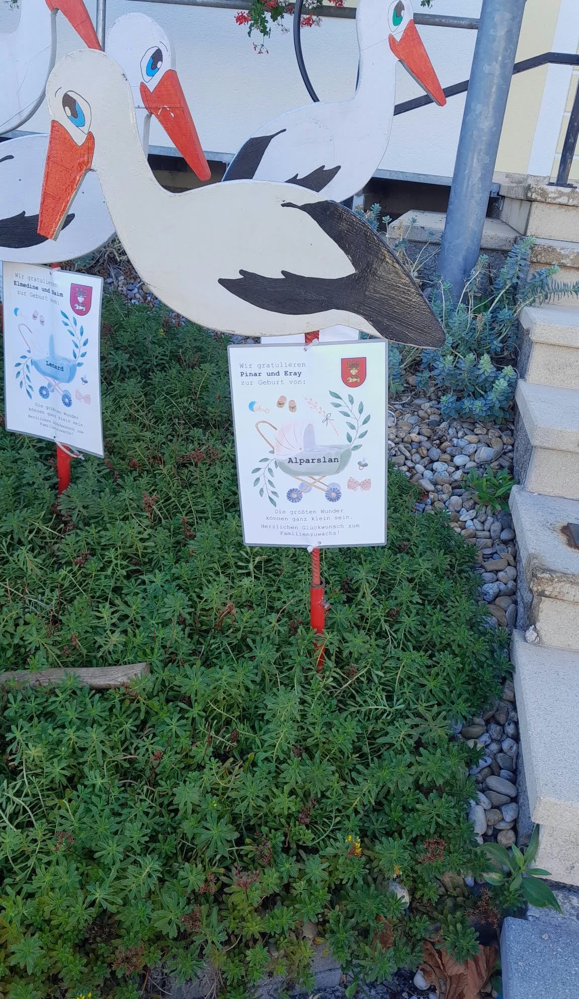 A sign with a drawing of a baby bottle and flowers stands in a garden with green plants and rocks. Another sign with a bird and text is nearby.