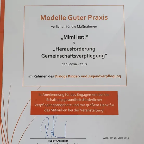 Modelle Guter Praxis