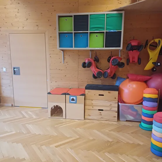Indoors, Interior Design, Floor, Flooring, Wood, Plywood, Hardwood, Building, Wheel, Play Area