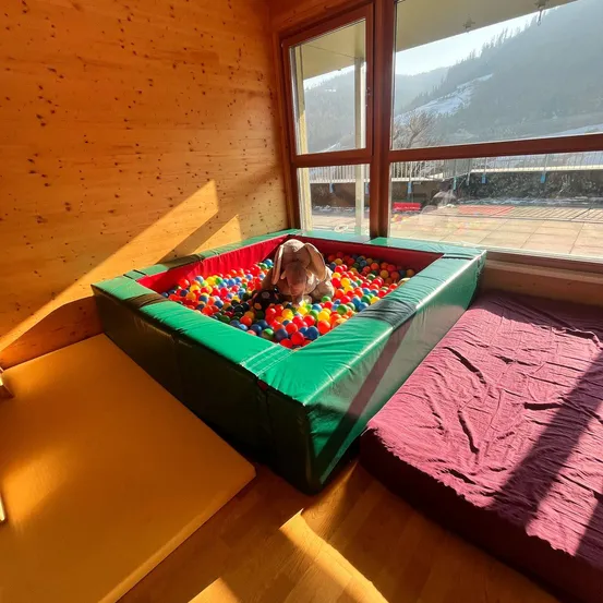 Indoors, Interior Design, Animal, Canine, Mammal, Dog, Pet, Dog Bed