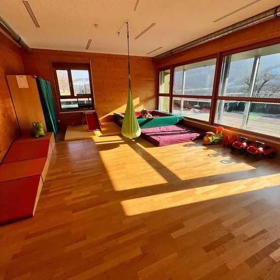 Floor, Flooring, Indoors, Interior Design, Wood, Hardwood, Furniture, Living Room, Stained Wood, Person