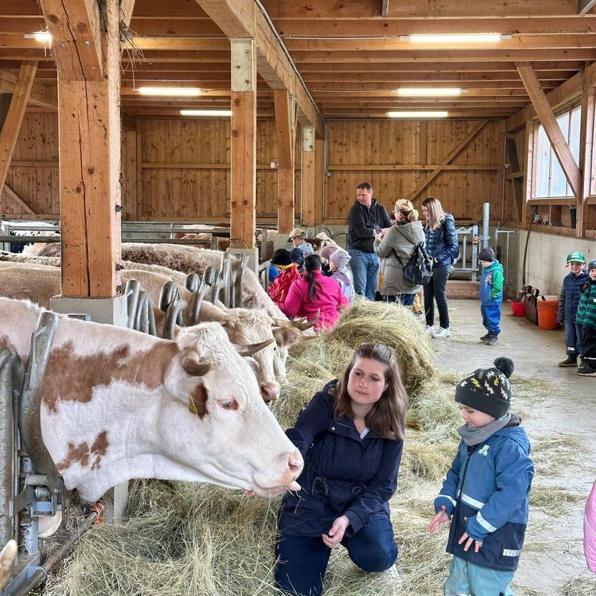 Eine Gruppe von Menschen besucht eine Scheune mit Kühen; eine Frau und ein Kind interagieren mit einer Kuh, andere beobachten von hinten.