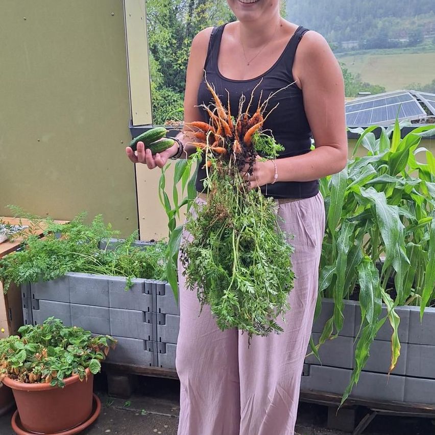 A woman holds a bunch of carrots and cucumbers in a garden, smiling. Behind her, a greenhouse with plants and a rural landscape is visible.