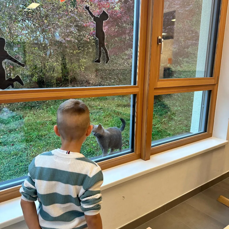 Ein junger Junge in einem gestreiften Shirt schaut aus einem Fenster. Er beobachtet eine Katze draußen.