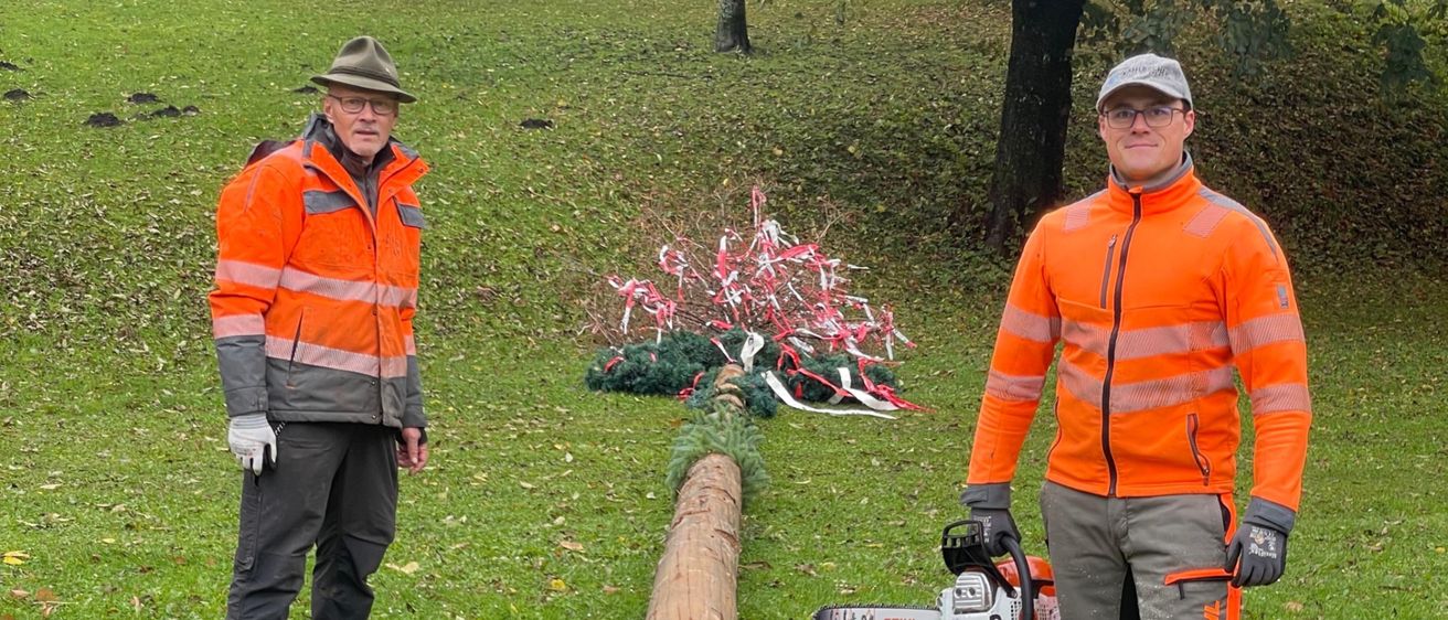 Bild enthält, Person, Worker, Adult, Male, Man, Tree, Grass, Hardhat, Glove, Shoe