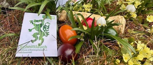 Ein Haufen weißer Blumen mit grünen Blättern. Zwei Karten und drei Ostereier liegen auf dem Boden.