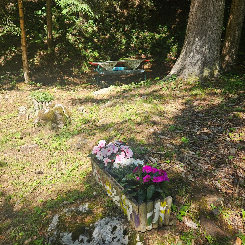 Eine Holzbank mit einer Tischdecke und einer Schüssel darauf steht neben einem Baum. Davor steht ein Blumenkasten mit rosa, weißen und lila Blumen auf einem Felsen.