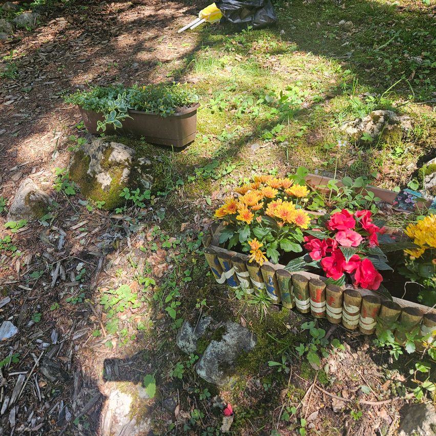 Ein Garten mit zwei Blumentöpfen, einer mit gelben und roten Blumen und der andere mit grünen Pflanzen, auf einem Grasboden mit Steinen und einem Schatten, der von einer Person geworfen wird.