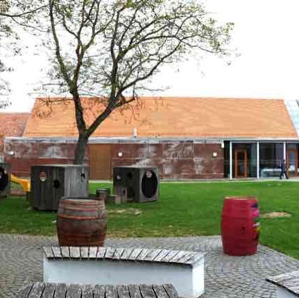 v1_migrated_image_23721234