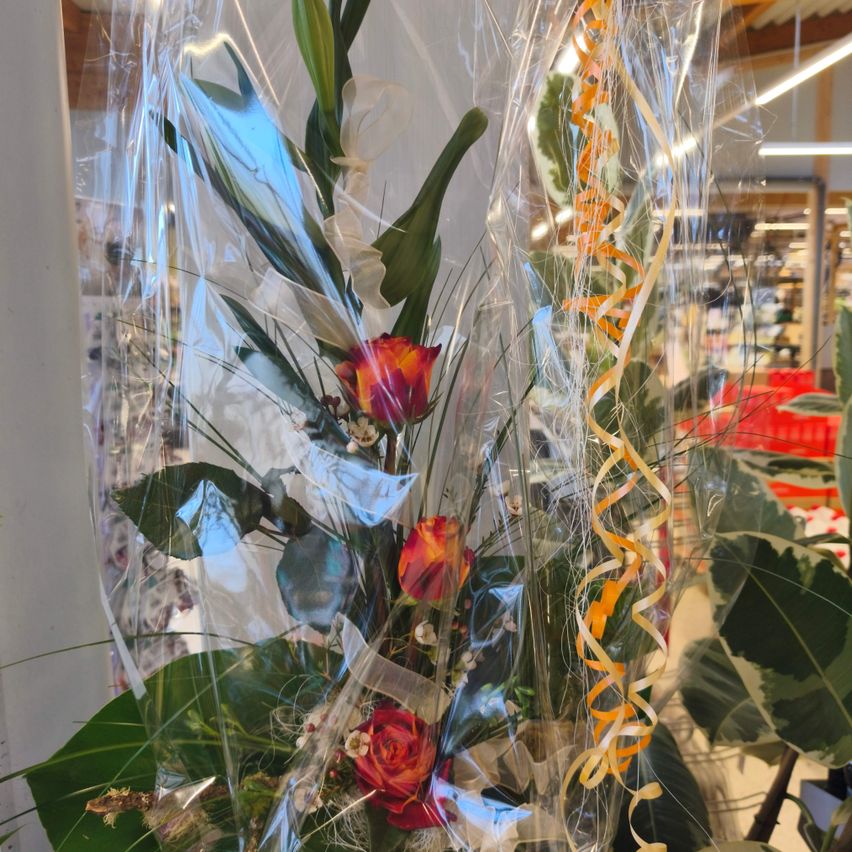 Ein Strauß roter Rosen mit grünen Blättern ist in Plastik verpackt und befindet sich in einem Geschäft, mit dekorativen Bändern und anderen Pflanzen im Hintergrund.