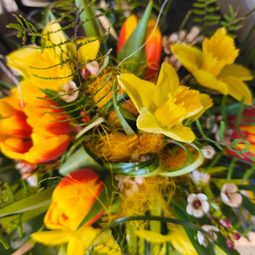 Eine Nahaufnahme eines lebhaften Blumenarrangements mit gelben Narzissen, orangefarbenen Tulpen und verschiedenen grünen Blättern, in einem kreisförmigen Strauß arrangiert.