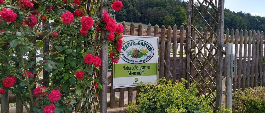 Ein Garten mit Rosen, einem Holzzaun und einem Schild, das Naturschaugarten Steiermark besagt. Das Gebiet ist von Bäumen umgeben.