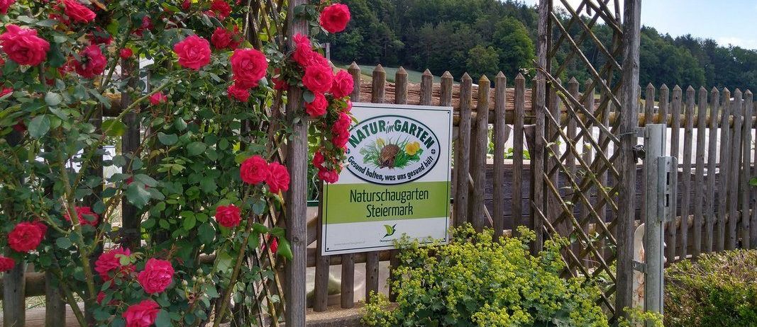 Ein Garten mit Rosen, einem Holzzaun und einem Schild, das Naturschaugarten Steiermark besagt. Das Gebiet ist von Bäumen umgeben.