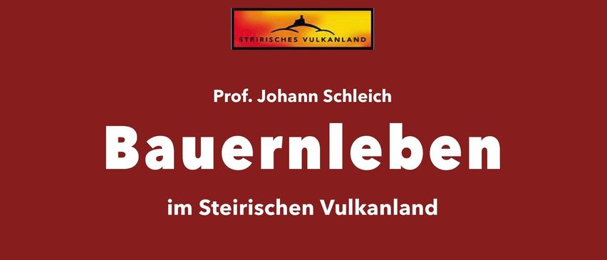 Eine ältere Frau schmückt komplizierte Kuchenstrukturen auf einem Tisch. Das Bild wird von einem roten Hintergrund mit dem Titel Bauerleben von Prof. Johann Schleich umrahmt.