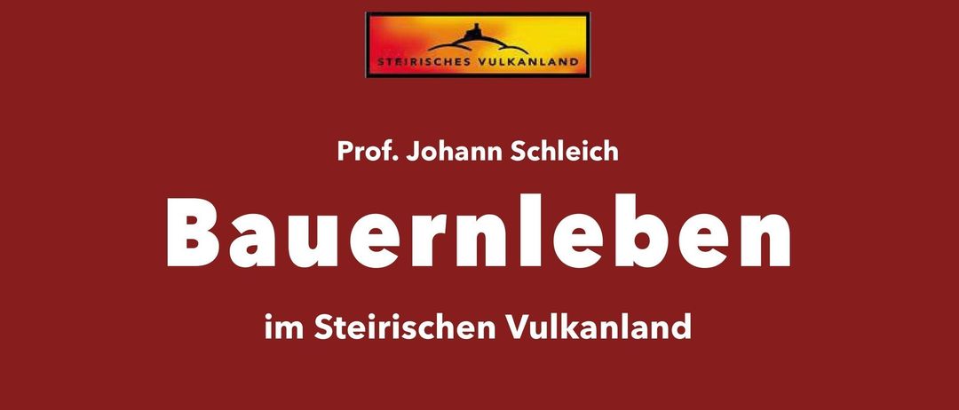 Eine ältere Frau schmückt komplizierte Kuchenstrukturen auf einem Tisch. Das Bild wird von einem roten Hintergrund mit dem Titel Bauerleben von Prof. Johann Schleich umrahmt.
