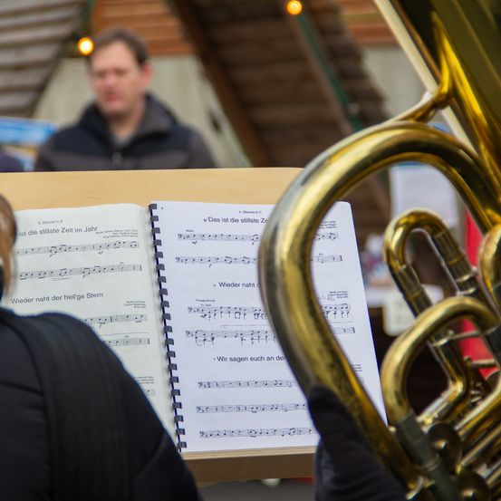 Bild enthält, Brass Section, Horn, Musical Instrument, Tuba, Adult, Male, Man, Person, Face, Head