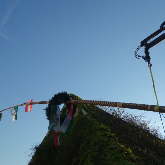 Ein Baumzweig mit Fahnen und einem Kranz hängt von einem mit Efeu bedeckten Dach, mit blauem Himmel im Hintergrund.