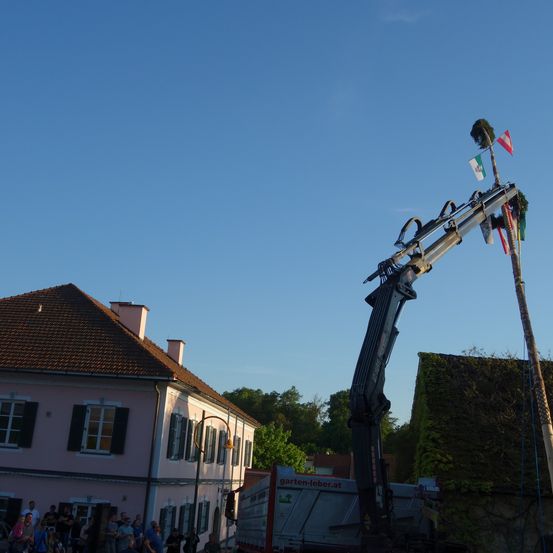 Ein Kran hebt einen Baum mit Flaggen aus Mexiko und Österreich, während sich Menschen vor einem Gebäude versammeln.