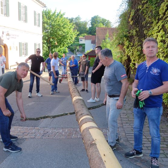 Mehrere Männer ziehen einen großen Baumstamm über eine gepflasterte Straße.