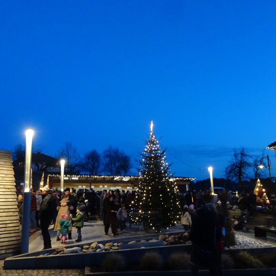 Eine Gruppe von Menschen steht nachts um einen beleuchteten Weihnachtsbaum. Der Baum ist von Steinen und einer Holzumzäunung umgeben. Im Hintergrund sind Lichter sichtbar, und der Himmel ist blau.