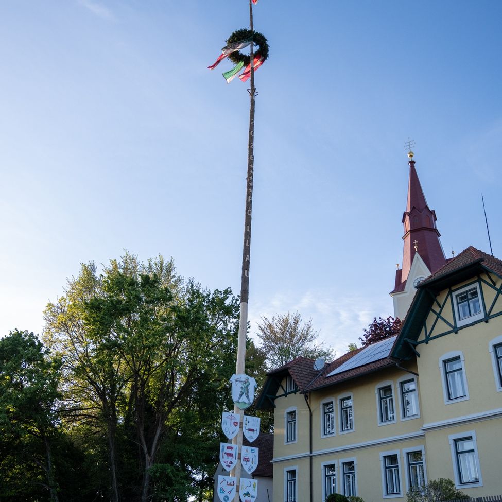 Image of Album