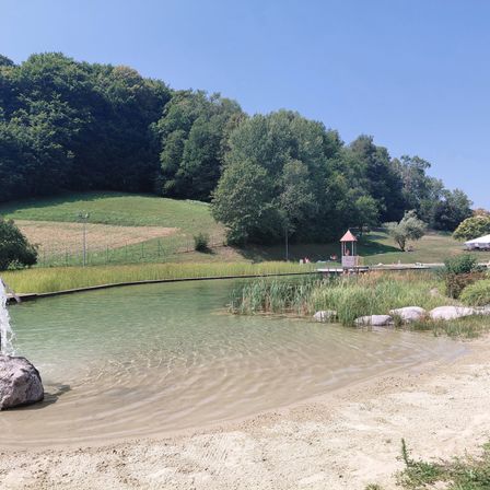 Ein ruhiger See, umgeben von üppigem Grün, mit einem kleinen Springbrunnen am Ufer und einem kleinen Pavillon in der Ferne.