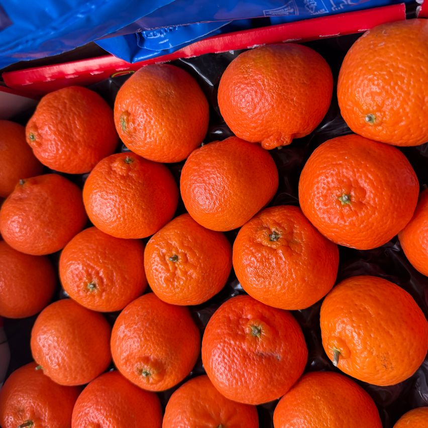 Eine Nahaufnahme einer Ansammlung von Orangen in einem Plastikbehälter, möglicherweise in einer Lagerbox. Die Orangen sind in einem Haufen angeordnet.