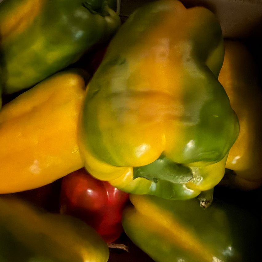 Eine Nahaufnahme von verschiedenen Paprikaschoten in verschiedenen Farben, einschließlich grün, gelb und rot. Die Paprikaschoten sind frisch und scheinen in einem Behälter aufbewahrt zu werden.