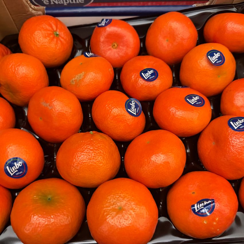 Ein Tablett mit Orangen mit blauen Etiketten, die 'Linbo' lesen, in ordentlichen Reihen angeordnet, wahrscheinlich zum Verkauf in einem Geschäft.