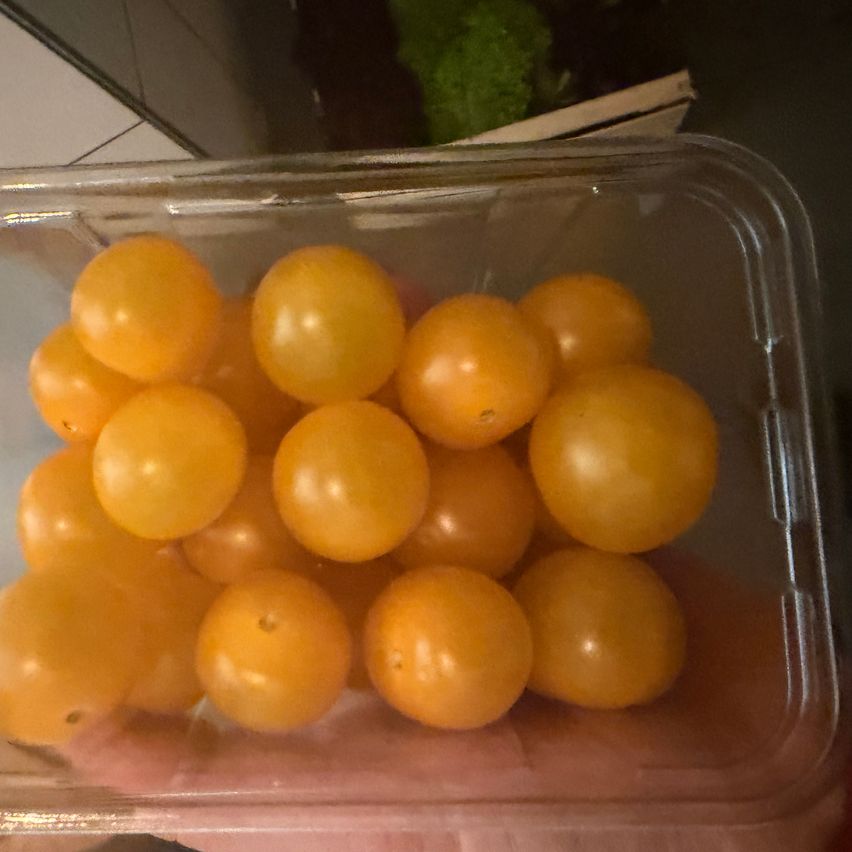 Ein durchsichtiger Plastikbehälter enthält eine Ansammlung kleiner gelber Kirschtomaten. Die Tomaten sind leicht gerundet und haben eine einheitliche Größe.
