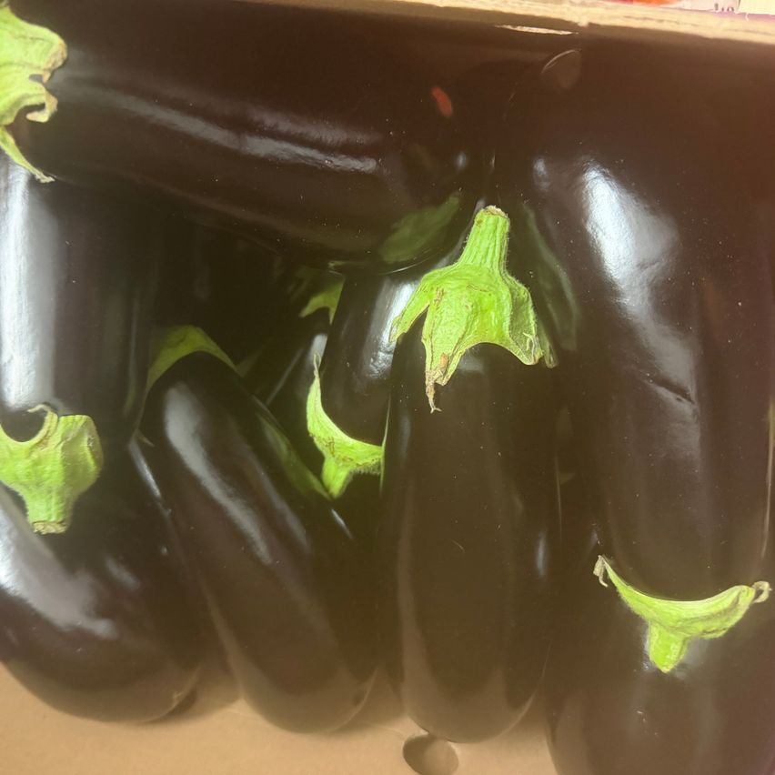 Eine Schachtel mit mehreren dunkellila Auberginen gefüllt, jede mit einem kleinen grünen Stiel oben. Die Auberginen sind glänzend und scheinen frisch.