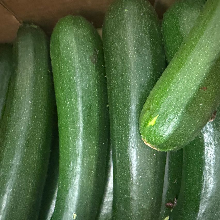 Eine Nahaufnahme von mehreren grünen Zucchinis in einer braunen Box, wobei einige kleine weiße Flecken aufweisen.