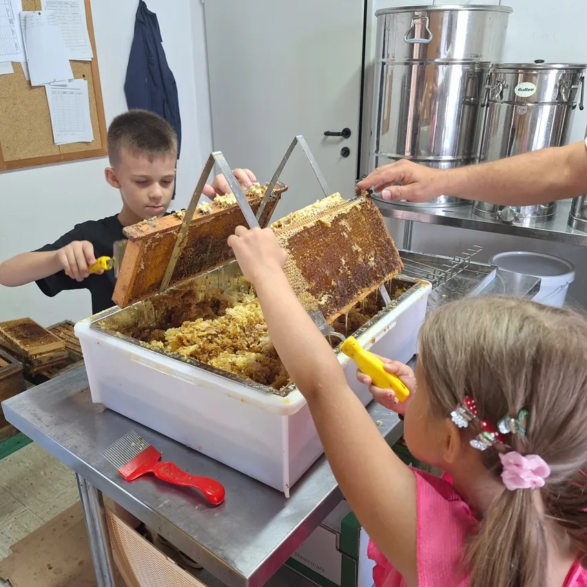 Zwei Kinder helfen beim Entfernen von Honigwaben aus einem Rahmen mit einem Pinsel, einer hält einen Rahmen, der andere eine Honigwabe, während ein Mann von hinten hilft.